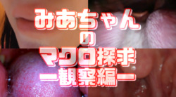 みあちゃんのマクロ探究-観察編-